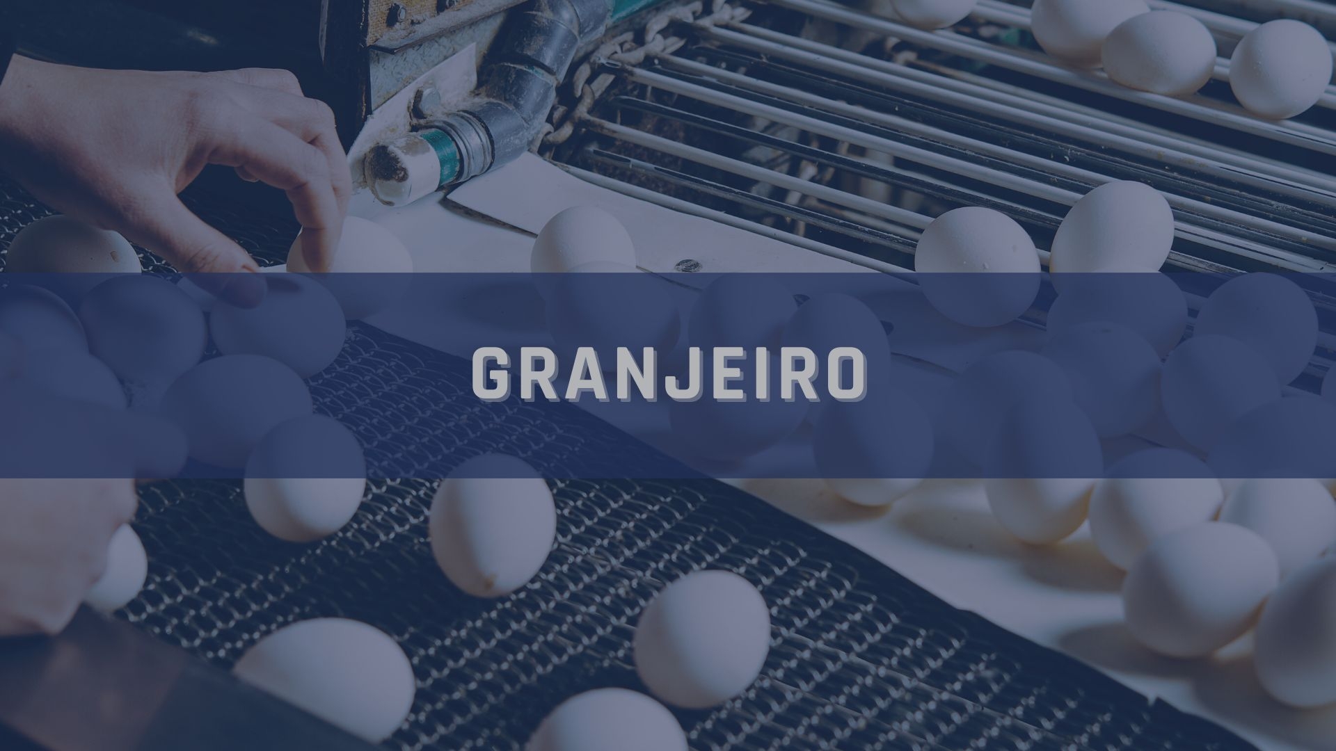 Categoria granjeiro