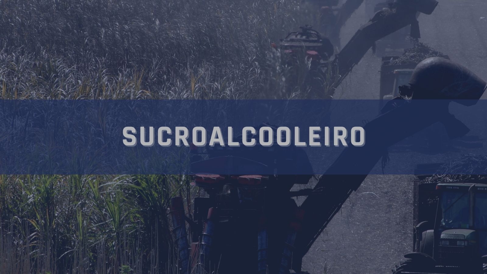 Categoria sucroalcooleiro-