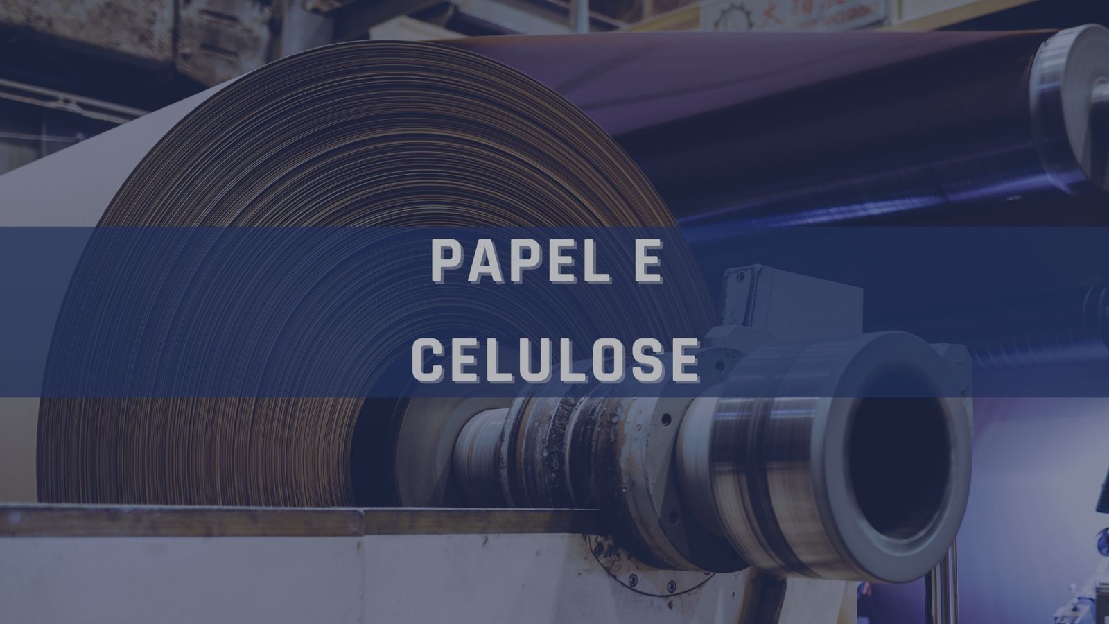 Categoria papel-e-celulose