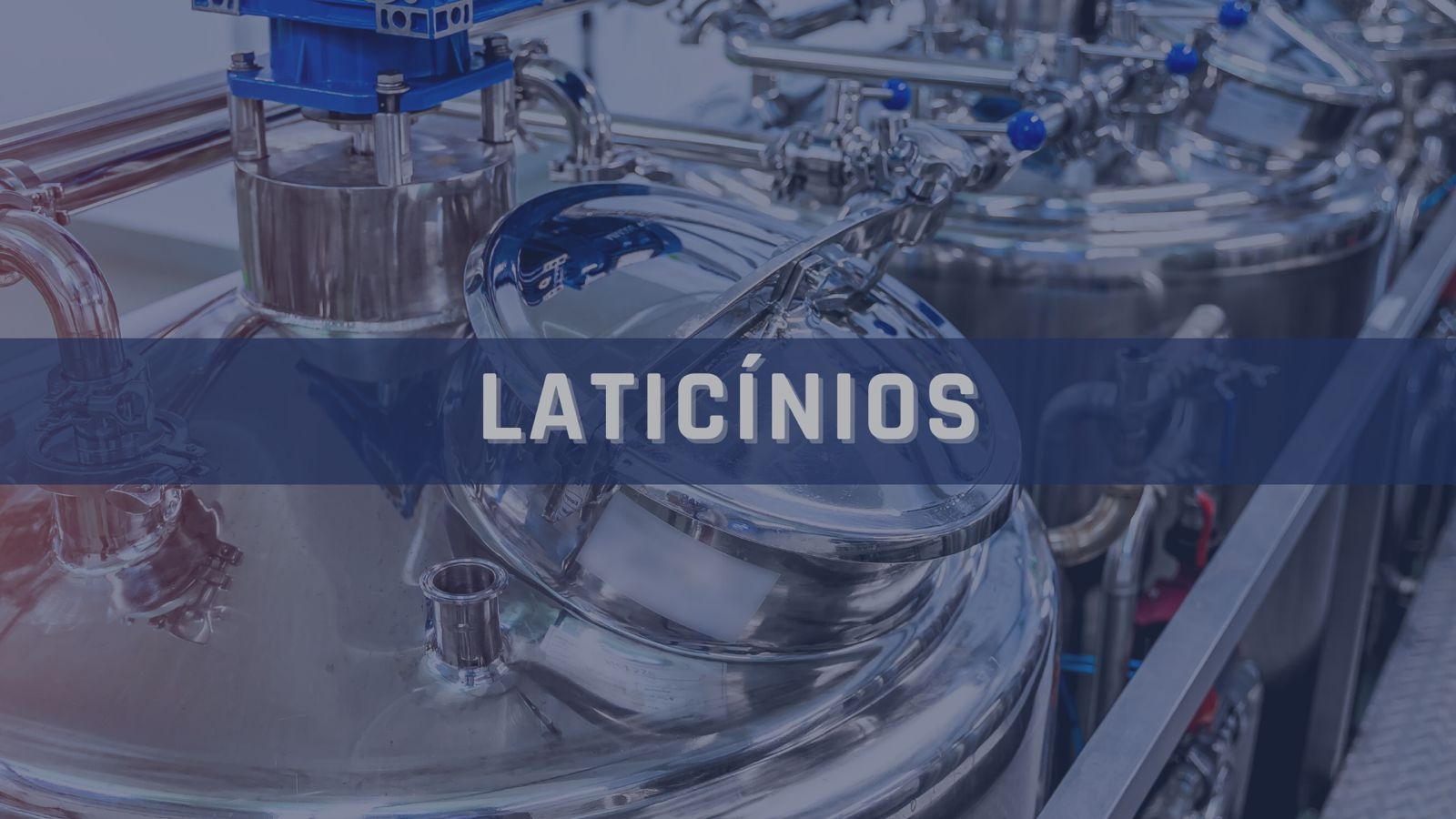 Categoria laticinios